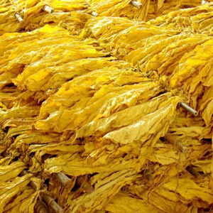 煙草制絲過程中的水分在線檢測 煙草制絲過程中的水分在線檢測